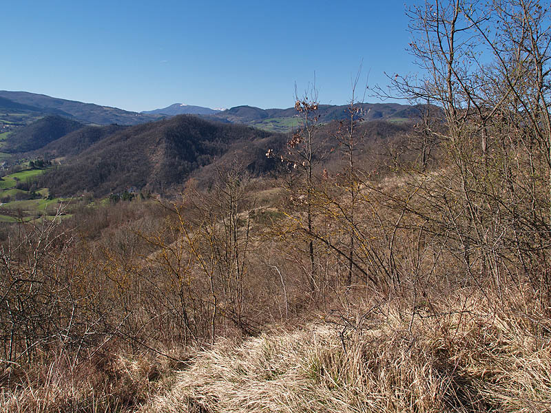 Oasi naturalistica del Carmine